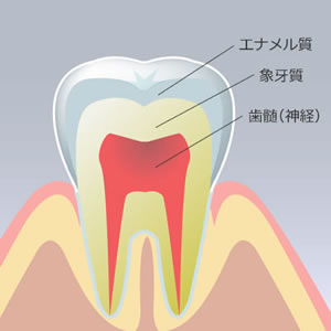 CO｜釧路市新橋大通沿い　よしもと歯科・矯正