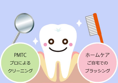 ホームケアとPMTC｜釧路市新橋大通沿い　よしもと歯科・矯正